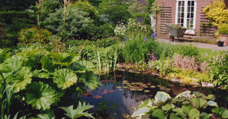 A Natural water garden